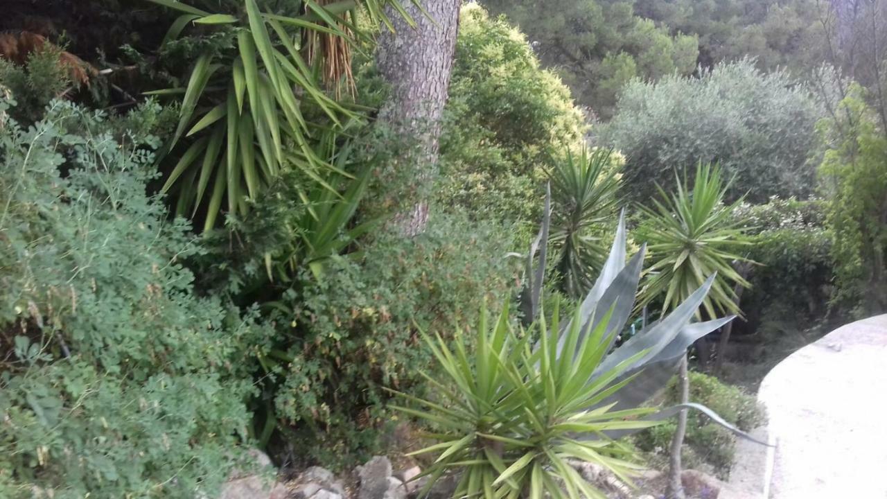 Palayson Hotel Le Muy Eksteriør billede